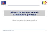 Réseaux de Neurones Formels Commande de processus