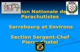 Union Nationale des Parachutistes  Sarrebourg  et Environs Section  Sergent -Chef Pierre  Chatel