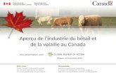 Aperçu de l’industrie du bétail et de la volaille au Canada