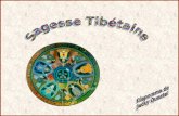 Sagesse Tibétaine