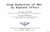 Drag Reduction of MAV  by Biplane Effect