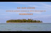 ILE AUX COCOS petit îlot de quelques centaines de mètres dans le lagon de RODRIGUES