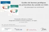 Guides de bonnes pratiques  en prévention du suicide en CSSS : du pourquoi au comment