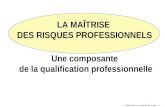 LA MAÎTRISE  DES RISQUES PROFESSIONNELS Une composante  de la qualification professionnelle
