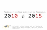 Portrait du secteur commercial de Roussillon 20 10  à 20 15