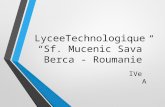LyceeTechnologique “Sf.  Mucenic  Sava” Berca  -  Roumanie
