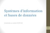 Systèmes d’information  et bases  de données