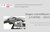 Stages scientifiques à l’UFMG – 2013