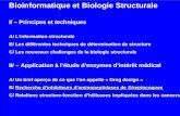 Bioinformatique et Biologie Structurale I/ – Principes et techniques