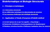 Bioinformatique et Biologie Structurale 1 – Principes et techniques