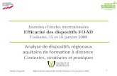 Journées d’études internationales Efficacité des dispositifs FOAD Toulouse, 15 et 16 janvier 2009