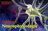 Chapitre 5 Neurophysiologie
