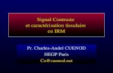 Signal Contraste  et caractérisation tissulaire  en IRM