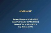 Multicast IP