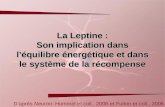 La Leptine : Son implication dans l’équilibre énergétique et dans le système de la récompense