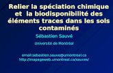 Sébastien Sauvé Université de Montréal email:sebastien.sauve@umontreal