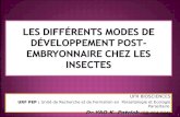 Les différents modes de développement post-embryonnaire chez  les insectes