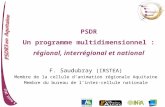 PSDR Un programme multidimensionnel : r©gional, interr©gional et national
