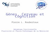 Gènes, Cerveau et Cognition Pierre L. Roubertoux Génomique Fonctionnelle