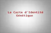 La Carte d’Identité Génétique