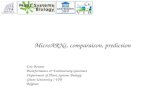 MicroARNs, comparaison, prediction