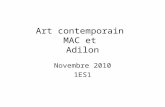 Art contemporain  MAC et  Adilon