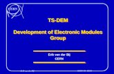 TS-DEM Development of Electronic Modules Group