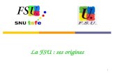 La FSU : ses origines