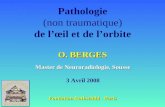 Pathologie (non traumatique) de l’œil et de l’orbite O. BERGES