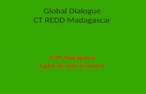 Global Dialogue CT REDD Madagascar
