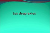 Les dyspraxies sont des pathologies qui se constituent à bas bruit.