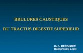 BRULURES CAUSTIQUES DU TRACTUS DIGESTIF SUPERIEUR