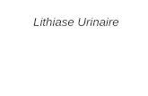 Lithiase Urinaire