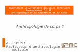 Anthropologie du corps 1 A. DUMOND Professeur d ’ anthropologie médicale