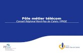Pôle métier télécom Conseil Régional Nord-Pas de Calais / PPIGE