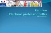 Réunion  Elections professionnelles 3 décembre 2013