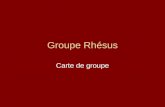 Groupe Rhésus
