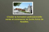 Choisir la formation pofessionnelle vente et commerce au lycée Anna de Noailles.
