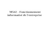 M542 - Fonctionnement informatisé de l'entreprise