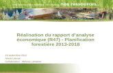 Réalisation du rapport d’analyse économique (R47) - Planification forestière 2013-2018