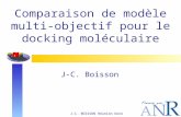Comparaison de modèle multi-objectif pour le docking moléculaire