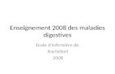 Enseignement 2008 des maladies digestives