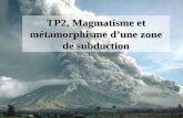 TP2, Magmatisme et métamorphisme d’une zone de subduction