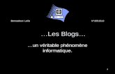 Bensadoun LeïlaN°2051513 …Les Blogs…