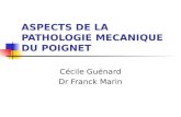 ASPECTS DE LA PATHOLOGIE MECANIQUE DU POIGNET
