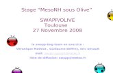 Stage “MesoNH sous Olive”  SWAPP/OLIVE Toulouse   27 Novembre 2008