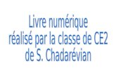 Livre numérique réalisé par la classe de CE2 de S. Chadarévian