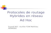 Protocoles de routage Hybrides en réseau  Ad Hoc