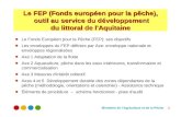 Le Fonds Européen pour la Pêche (FEP): ses objectifs