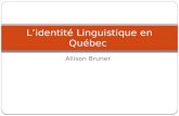L’identité Linguistique en Québec